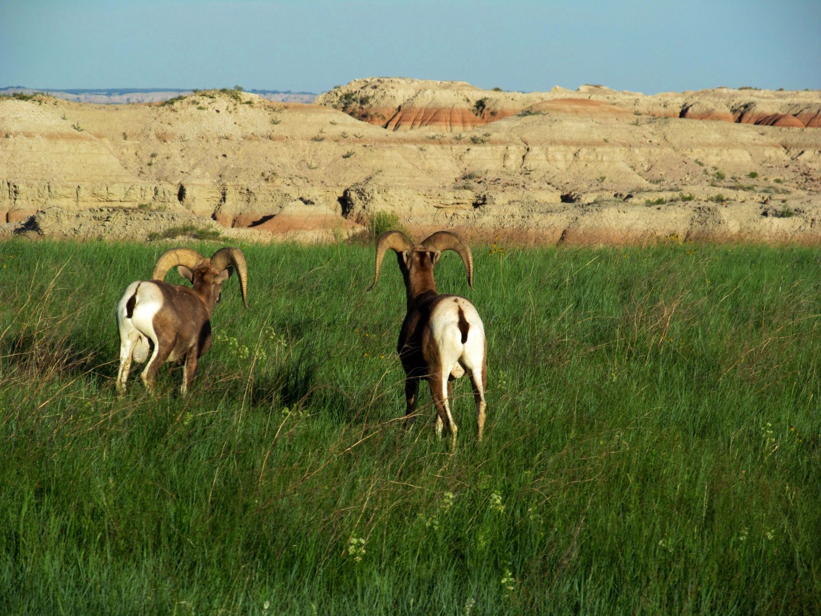 WW: Go west (2)